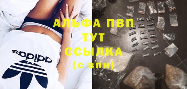 гидра Новодвинск